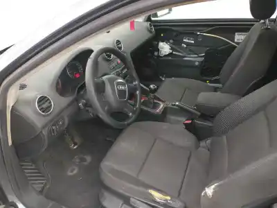 Véhicule à la ferraille audi a3 (8p1) 2.0 tdi 16v de l'année 2001 alimenté bkd