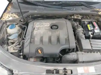 Véhicule à la ferraille audi a3 (8p1) 2.0 tdi 16v de l'année 2001 alimenté bkd