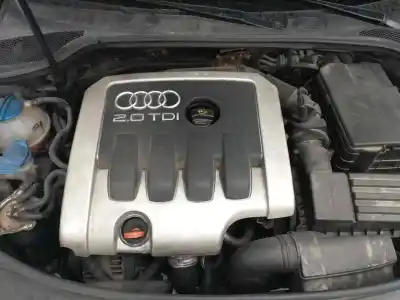 Hurda Aracı audi a3 (8p1) 2.0 tdi 16v yılın 2001 güçlü bkd