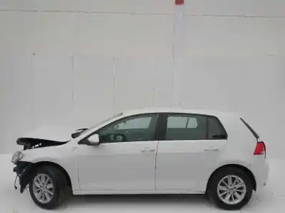 Scrapping Vehicle VOLKSWAGEN GOLF VII (5G1, BQ1, BE1, BE2) 1.6 TDI of the year 2001 powered CLH A