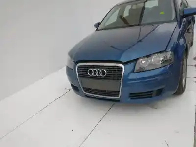 Scrapping Vehicle audi a3 (8p) 1.9 tdi ambiente of the year 2001 powered bls