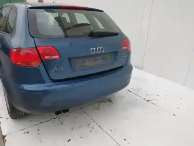 Scrapping Vehicle audi a3 (8p) 1.9 tdi ambiente of the year 2001 powered bls