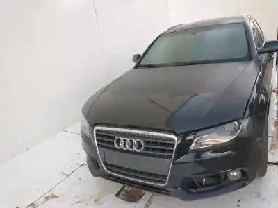 Scrapping Vehicle audi a4 avant (8k5) (2008) básico of the year 2001 powered cag