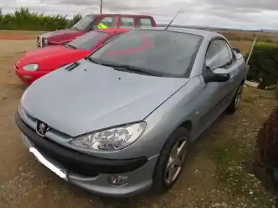 Veículo de Sucata peugeot 206 cc (2d) 2.0 s16 do ano 2001 alimentado rfn (ew10j4)