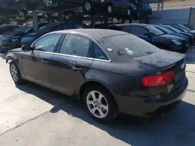 Scrapping Vehicle audi a4 berlina (b8) 2.0 16v tdi of the year 2011 powered caga