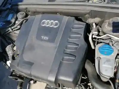 Scrapping Vehicle audi a4 berlina (b8) 2.0 16v tdi of the year 2011 powered caga