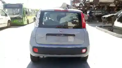Scrapping Vehicle fiat panda (319) 1.2 cat (gpl) of the year 2019 powered 169a4000