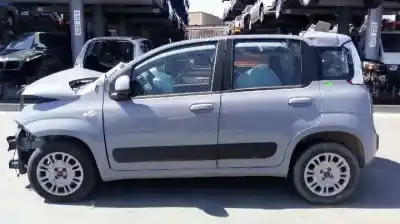 Scrapping Vehicle fiat panda (319) 1.2 cat (gpl) of the year 2019 powered 169a4000