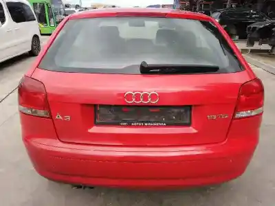 Veicolo di demolizione audi a3 (8p1) 1.9 tdi dell'anno 2003 alimentato bkc