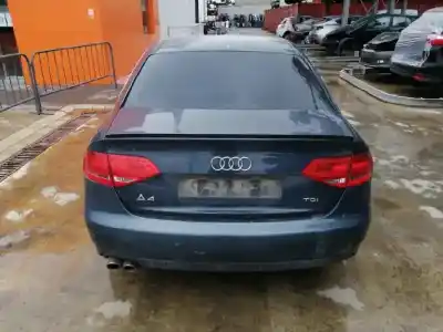 Scrapping Vehicle audi a4 berlina (b8) 2.0 16v tdi of the year 2011 powered cjcb