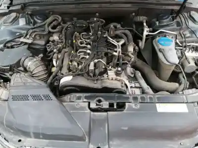 Scrapping Vehicle audi a4 berlina (b8) 2.0 16v tdi of the year 2011 powered cjcb