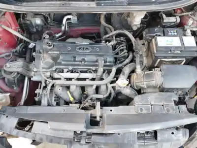 Veicolo di demolizione kia rio iii (ub) 1.25 cvvt dell'anno 2013 alimentato g4la