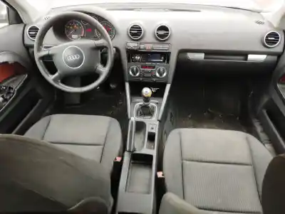 Scrapping Vehicle audi a3 (8p1) 1.6 of the year 2004 powered bgu