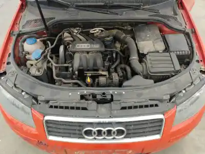 Scrapping Vehicle audi a3 (8p1) 1.6 of the year 2004 powered bgu