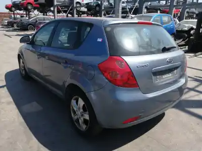 Veicolo di demolizione kia cee´d 1.6 crdi cat dell'anno 2007 alimentato d4fb