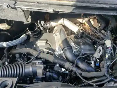 Veículo de Sucata ford transit custom v362 autobús (f3) 2.0 ecoblue do ano 2019 alimentado ynfa