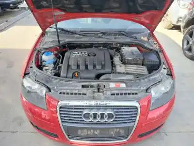 Veículo de Sucata audi a3 sportback (8pa) 2.0 tdi 16v do ano 2006 alimentado bkd