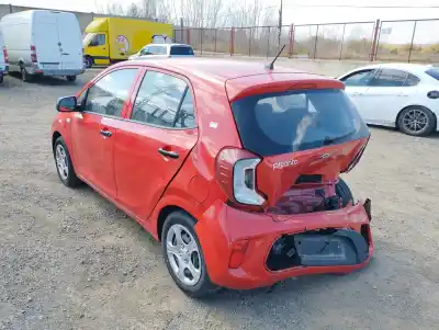 Scrapping Vehicle kia picanto (ja) 1.0 cat of the year 2019 powered g3la