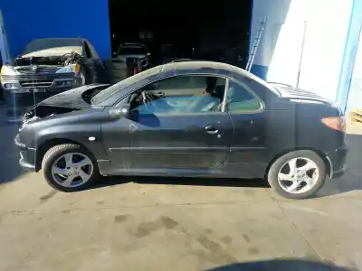 Scrapping Vehicle PEUGEOT 206 CC CC of the year 2004 powered NFUTU5JP4