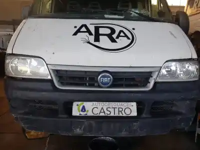 Здавання транспортного засобу fiat                                               ducato caja cerrada 15 (desde 03.02)                                                                                                                                                                                                                       2.8 jtd  batalla 2850 mm                                                                                                                                                                                                                                   року 2006 потужний 814043s