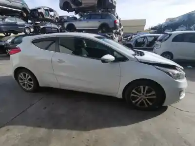 Veículo de Sucata kia cee´d business do ano 2014 alimentado d4fb