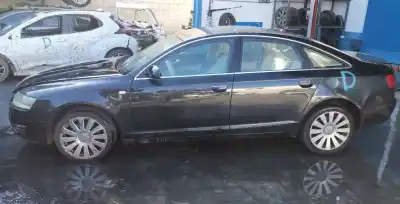 Veicolo di demolizione audi a6 berlina (4f2) 3.0 v6 24v tdi dell'anno 2004 alimentato bng