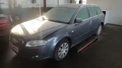 Veículo de Sucata AUDI A4 AVANT (8E) 2.0 TDI do ano 2005 alimentado BLB
