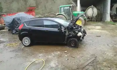 Veículo de Sucata ford fiesta (cb1) titanium do ano 2009 alimentado hhjc