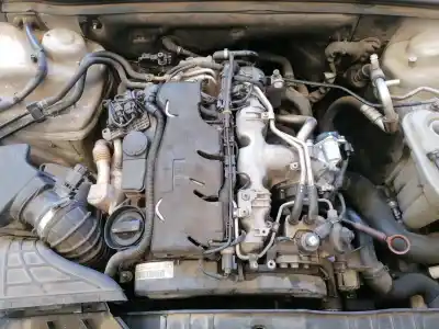 Scrapping Vehicle audi a4 berlina (b8) básico of the year 2009 powered cagc