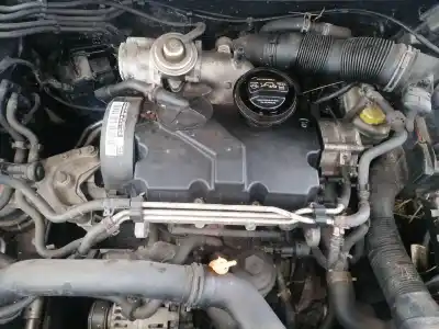 Veículo de Sucata seat ibiza iii (6l1) 1.4 tdi do ano 2007 alimentado bnv