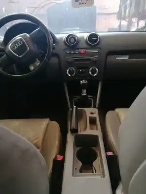 Veículo de Sucata audi a3 (8p) 1.9 tdi ambiente do ano 2006 alimentado bls