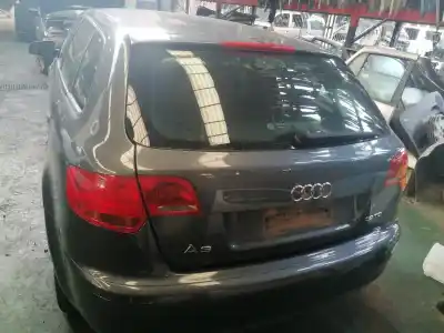 Veículo de Sucata audi a3 (8p) 1.9 tdi ambiente do ano 2006 alimentado bls