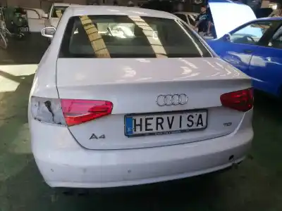 Veicolo di demolizione audi a4 berlina (b8) básico dell'anno 2012 alimentato cjca