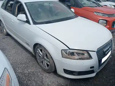 Scrapping Vehicle audi a3 (8p) 2.0 tdi limited edition (103kw) of the year 2009 powered cbab
