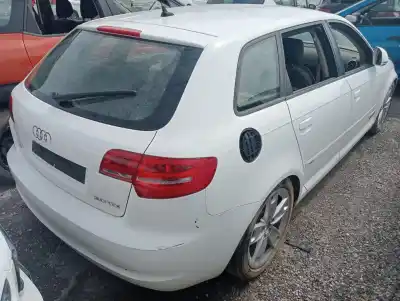 Scrapping Vehicle audi a3 (8p) 2.0 tdi limited edition (103kw) of the year 2009 powered cbab