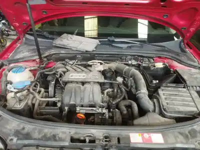 Veículo de Sucata audi a3 (8p) 1.6 102 cv / 75 kw do ano 2004 alimentado bgu