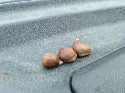 Veículo de Sucata citroen berlingo d9b(xud9a/l) do ano 1997 alimentado d9b xud9al