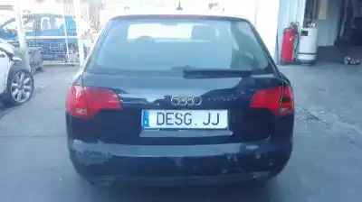 Veículo de Sucata audi a4 avant (8e) 3.0 v6 24v tdi do ano 2005 alimentado bkn