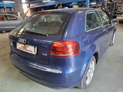 Scrapping Vehicle audi a3 (8p1) 1.6 tdi of the year 2011 powered cayc
