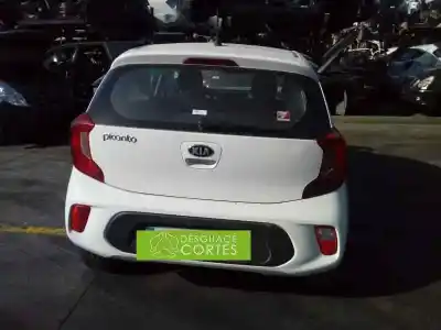 Scrapping Vehicle kia picanto (ja) g3la of the year 2019 powered g3la