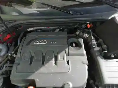 Scrapping Vehicle audi a3 (8v1, 8vk) 1.6 tdi of the year 2013 powered clha