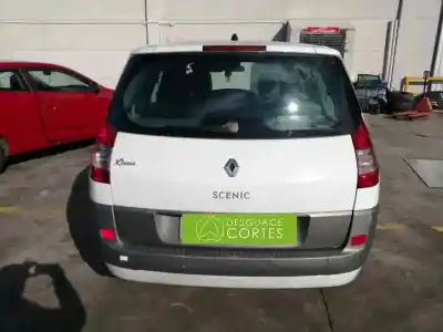 Veicolo di demolizione renault scénic ii (jm0/1_) 1.9 dci (jm0g, jm12, jm1g, jm2c) dell'anno 2005 alimentato f9q812