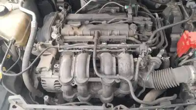 Veicolo di demolizione ford fiesta vi (cb1, ccn) 1.6 ti dell'anno 2009 alimentato hxja