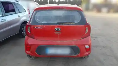Scrapping Vehicle kia picanto (ja) g3la of the year 2019 powered g3la