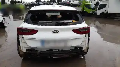 Veicolo di demolizione kia ceed (cd) d4fe dell'anno 2019 alimentato d4fe