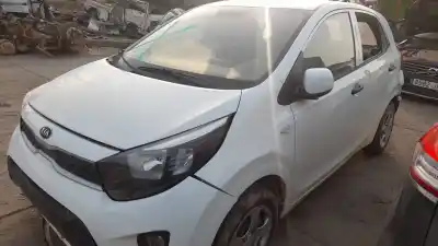 Scrapping Vehicle kia picanto (ja) g3la of the year 2019 powered g3la