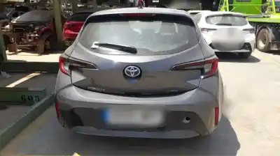 Scrapping Vehicle toyota corolla (e21) 2zr of the year 2024 powered 2zr