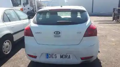 Sloopvoertuig kia pro_cee´d 1.6 crdi van het jaar 2010 aangedreven d4fb-w