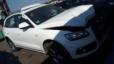 Scrapping Vehicle AUDI Q5 (8R) 2.0 TDI Advance quattro (130kW) of the year 2019 powered CGL