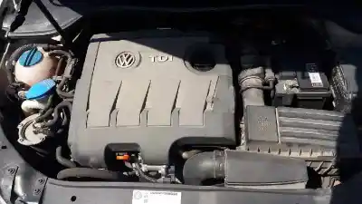 Veículo de Sucata volkswagen golf vi (5k1) 1.6 tdi dpf do ano 2009 alimentado cay